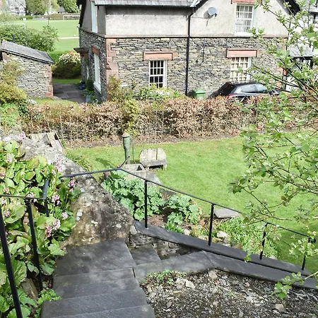 Yew Tree *